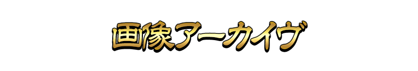 画像アーカイヴ