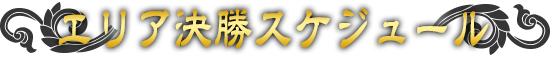 エリア決勝スケジュール